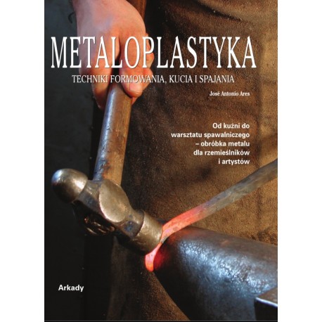 Metaloplastyka